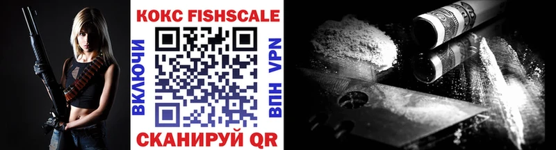 COCAIN FishScale  где купить   Новосибирск 