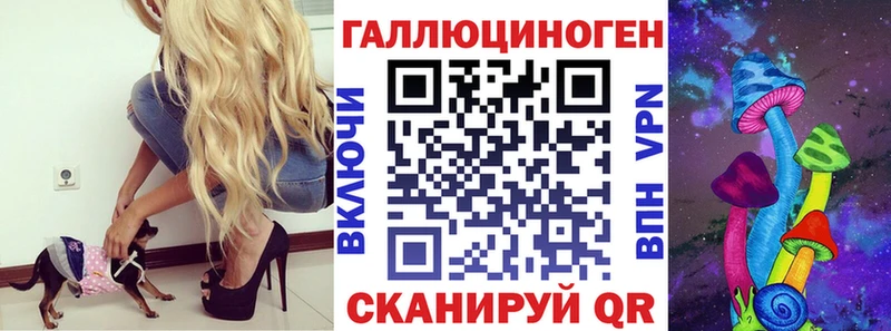 хочу   Новосибирск  Псилоцибиновые грибы Psilocybe 